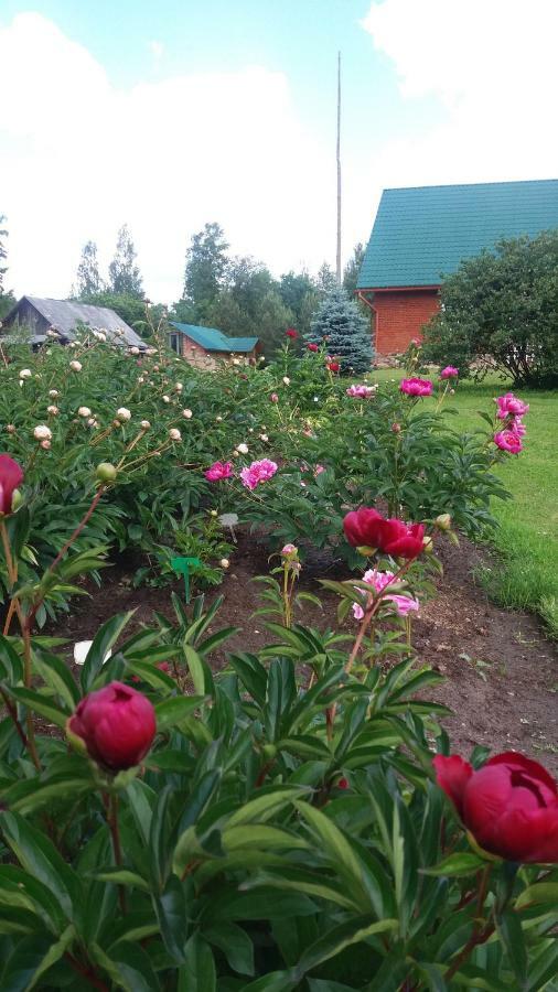 Cucumuiza Villa Kuldīga Buitenkant foto